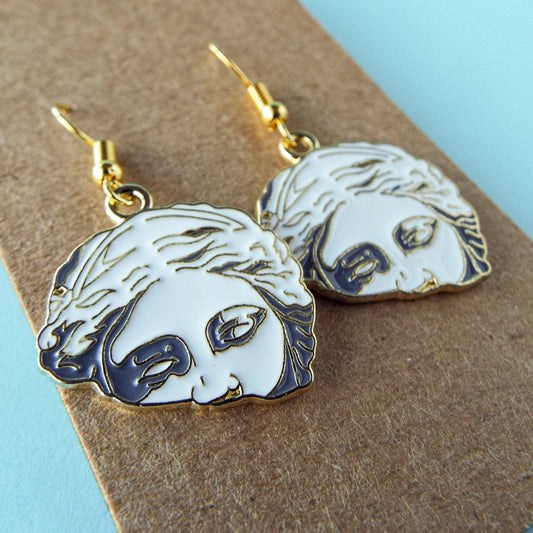 Aros de Venus